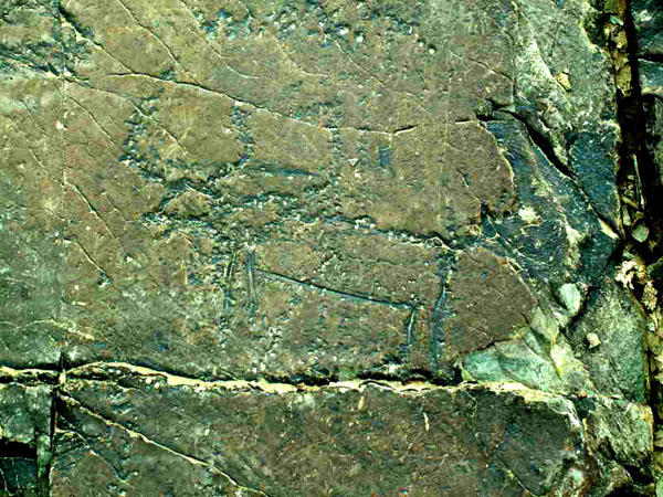 ZANSKAR12